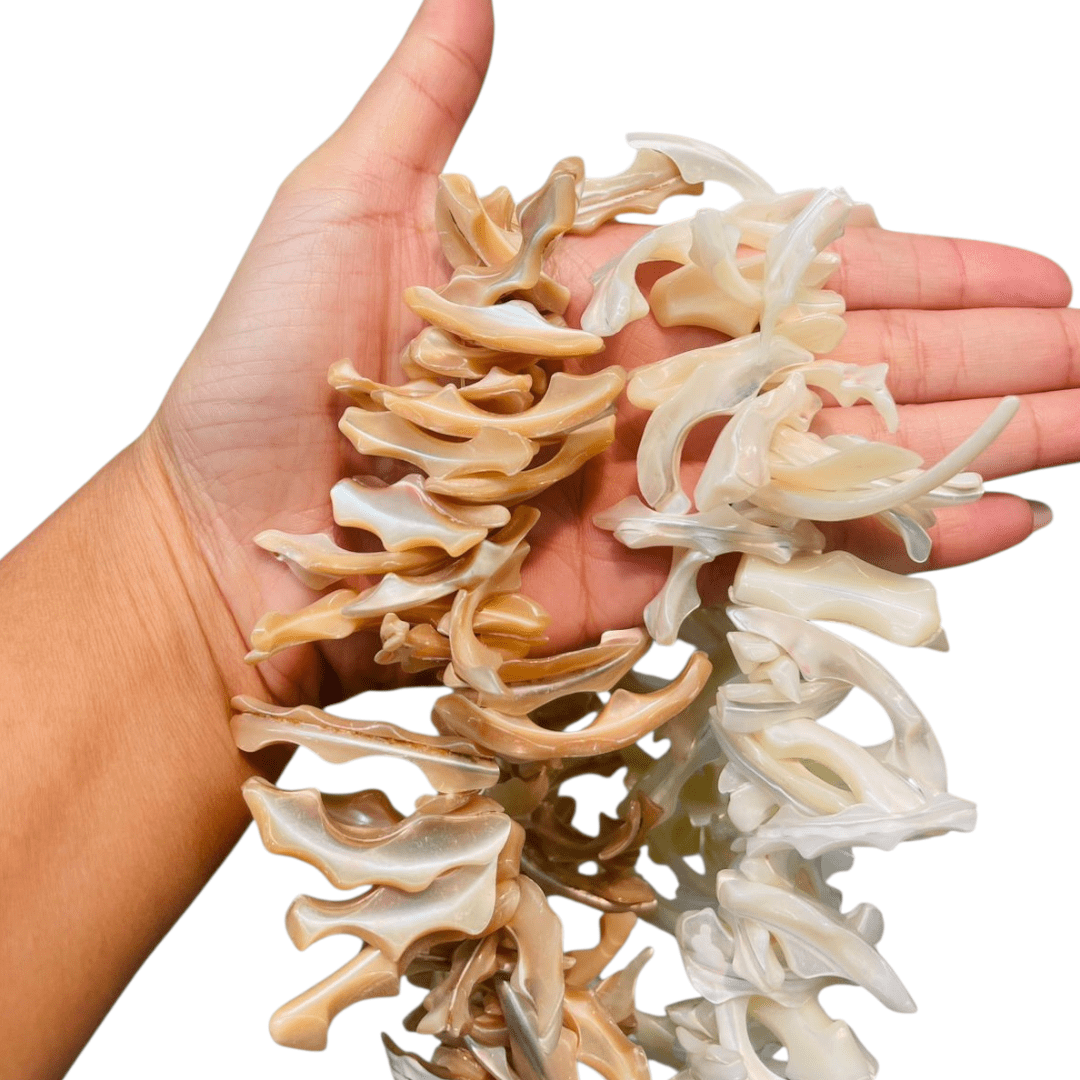 CASCALHO DE MADREPÉROLA G