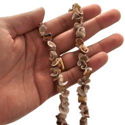 CONTA MADREPÉROLA CARACOL - FIO 